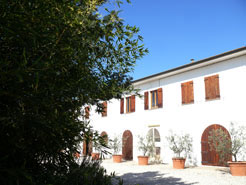 Azienda Sperimentale di
                Santa Paolina