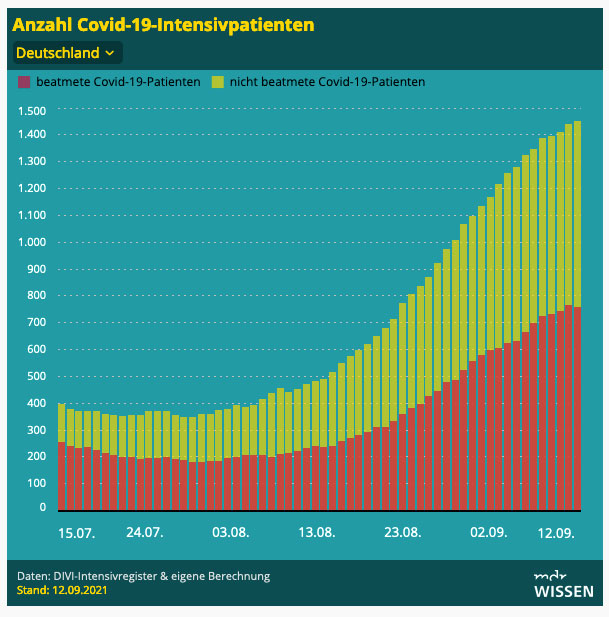Intensivpatienten mit Corona 12.09.2021