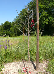 Holder April
                2011