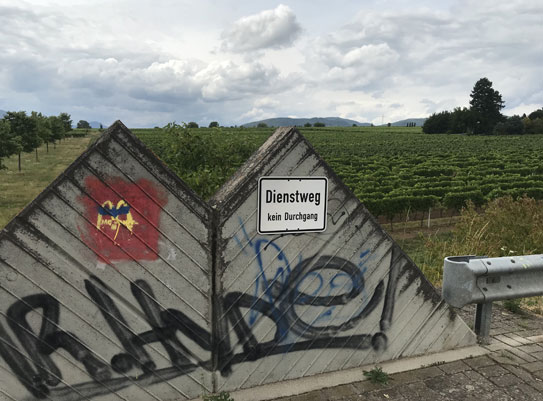 Pfalz Weinberge Obstbume Dienstweg