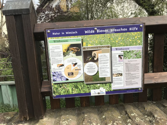 Wildbienenschutz in Wiesloch am
              Leimbach