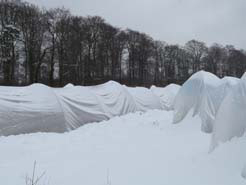 Winterruhe Olivenhain